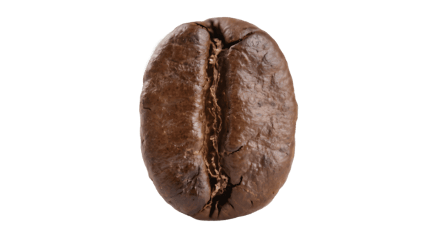 Koffieboon